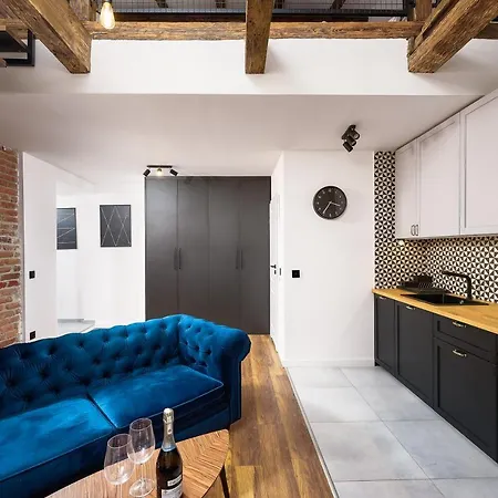 Loft Piotrkowska 37 Antresola Klimatyzacja Bezkontaktowe Wejscie Centrum Lodzi * Λοτζ